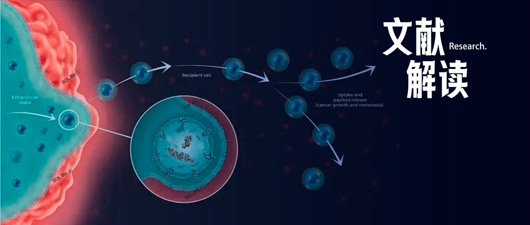 研究前沿｜外泌體研究系列文章（1）——入門級思路