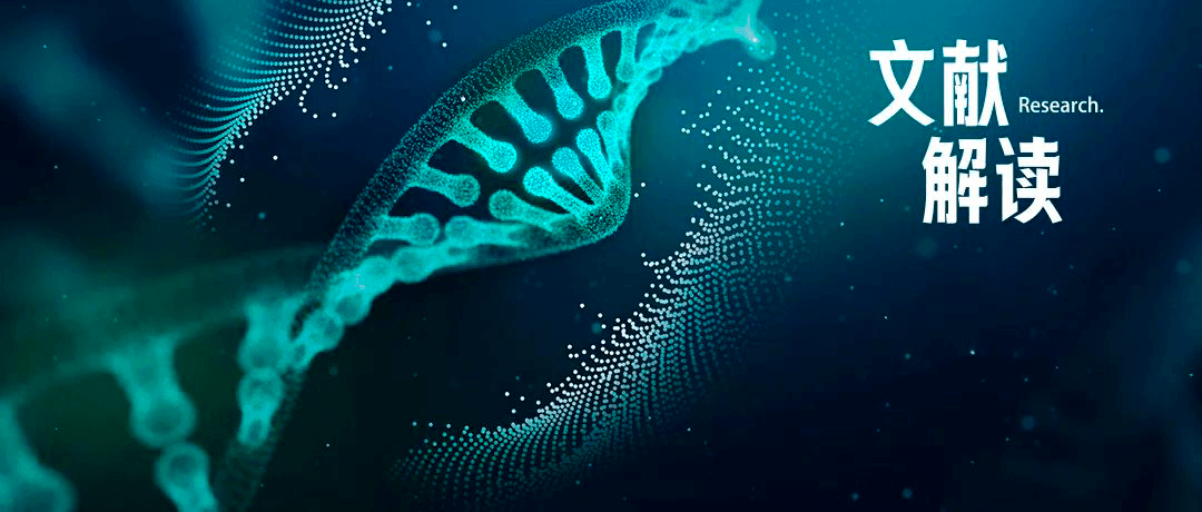 光免疫療法新助力——核酸納米凝膠包裝光敏劑和PD-L1 siRNA