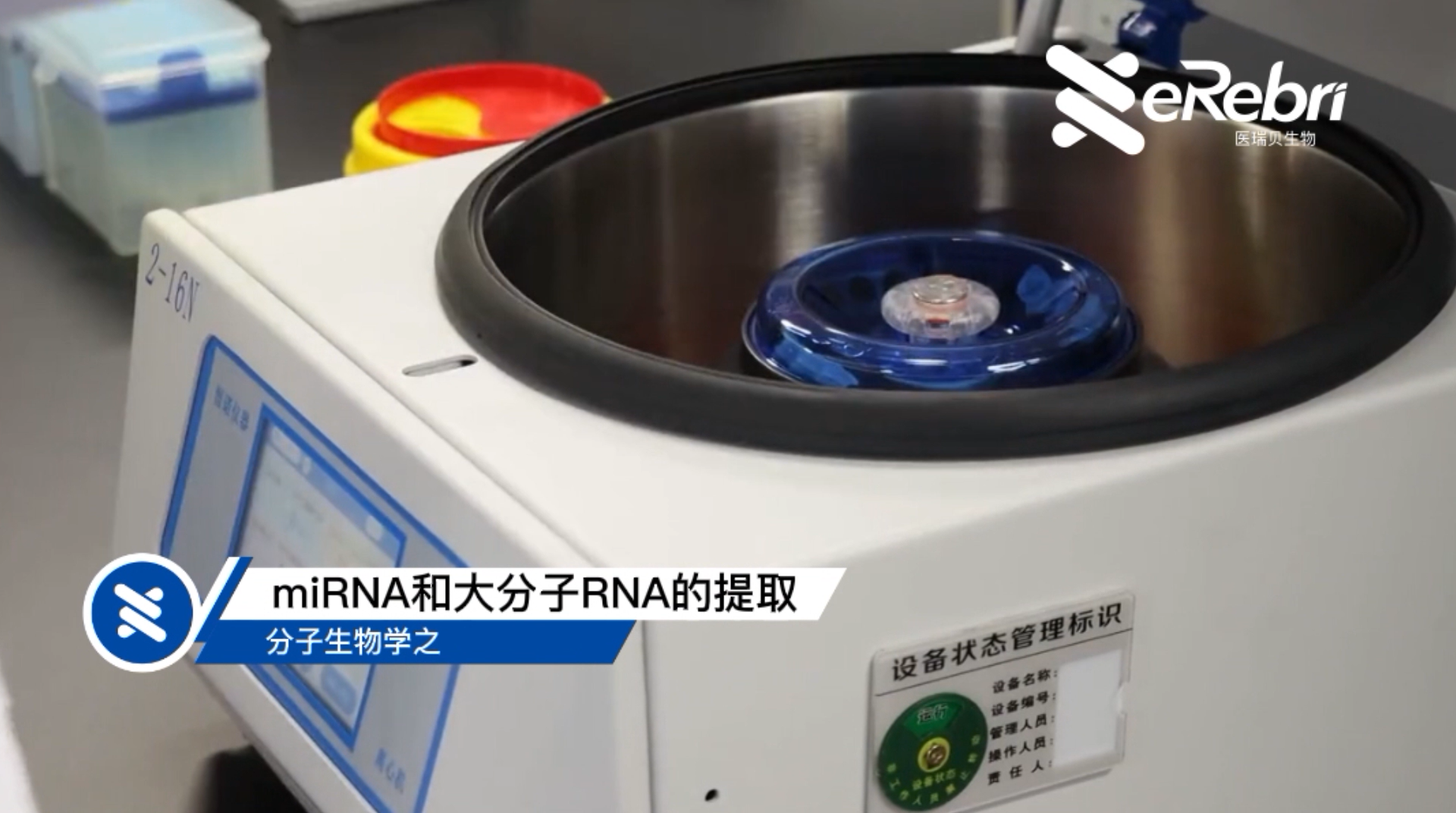 分子實驗-miRNA和大分子RNA的提取（下）